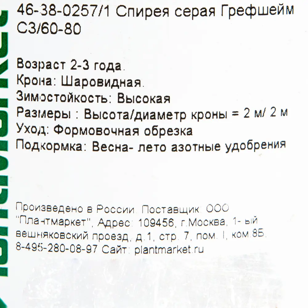 Спирея серая «Грефшейм», С3/60-80 см 18468699 STLM-2184944 Santreyd  - Вид №1