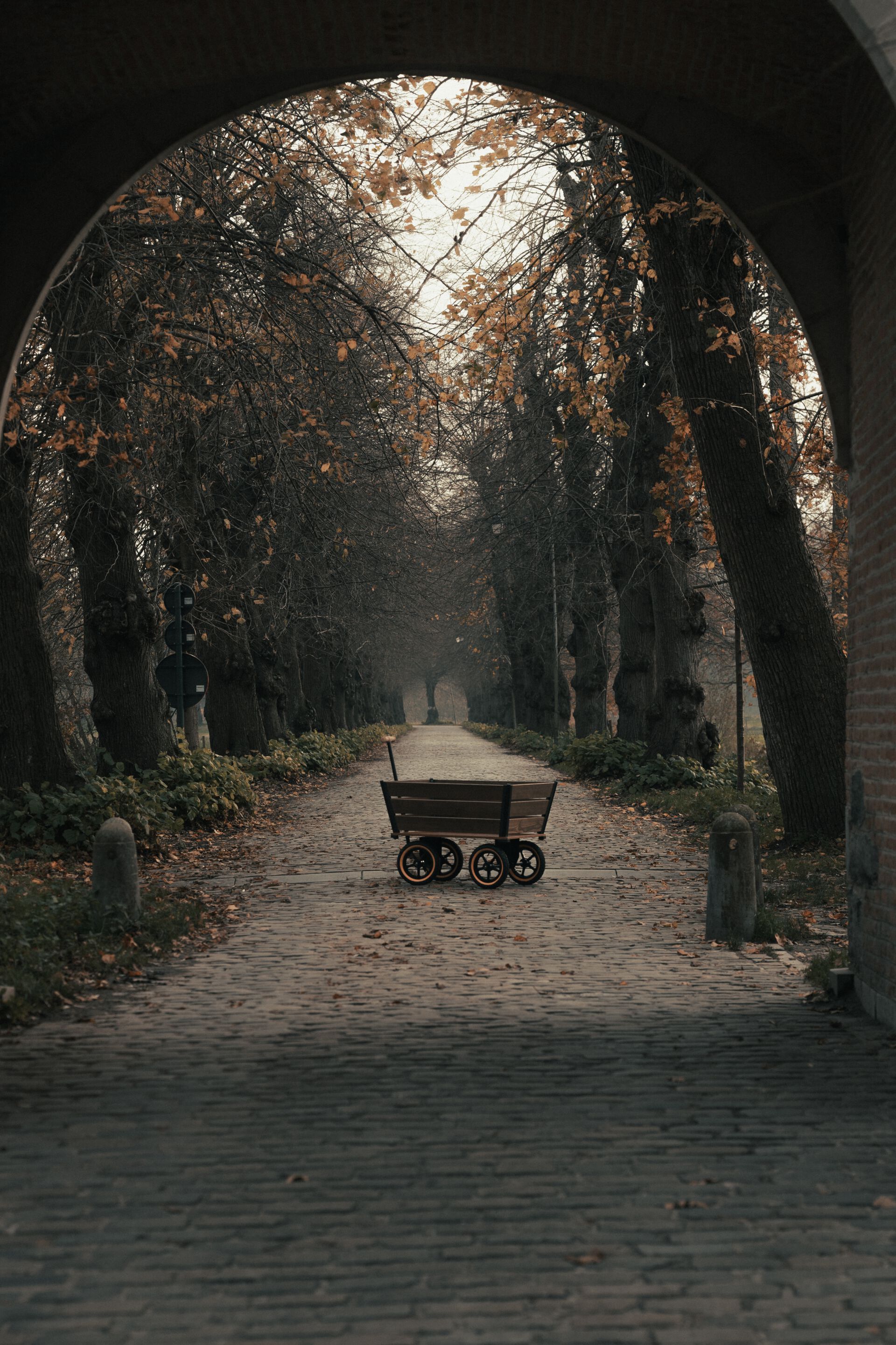 Садовая тележка TRADEWINDS THE PLANK WAGON ARCH-00043245 - Вид №23