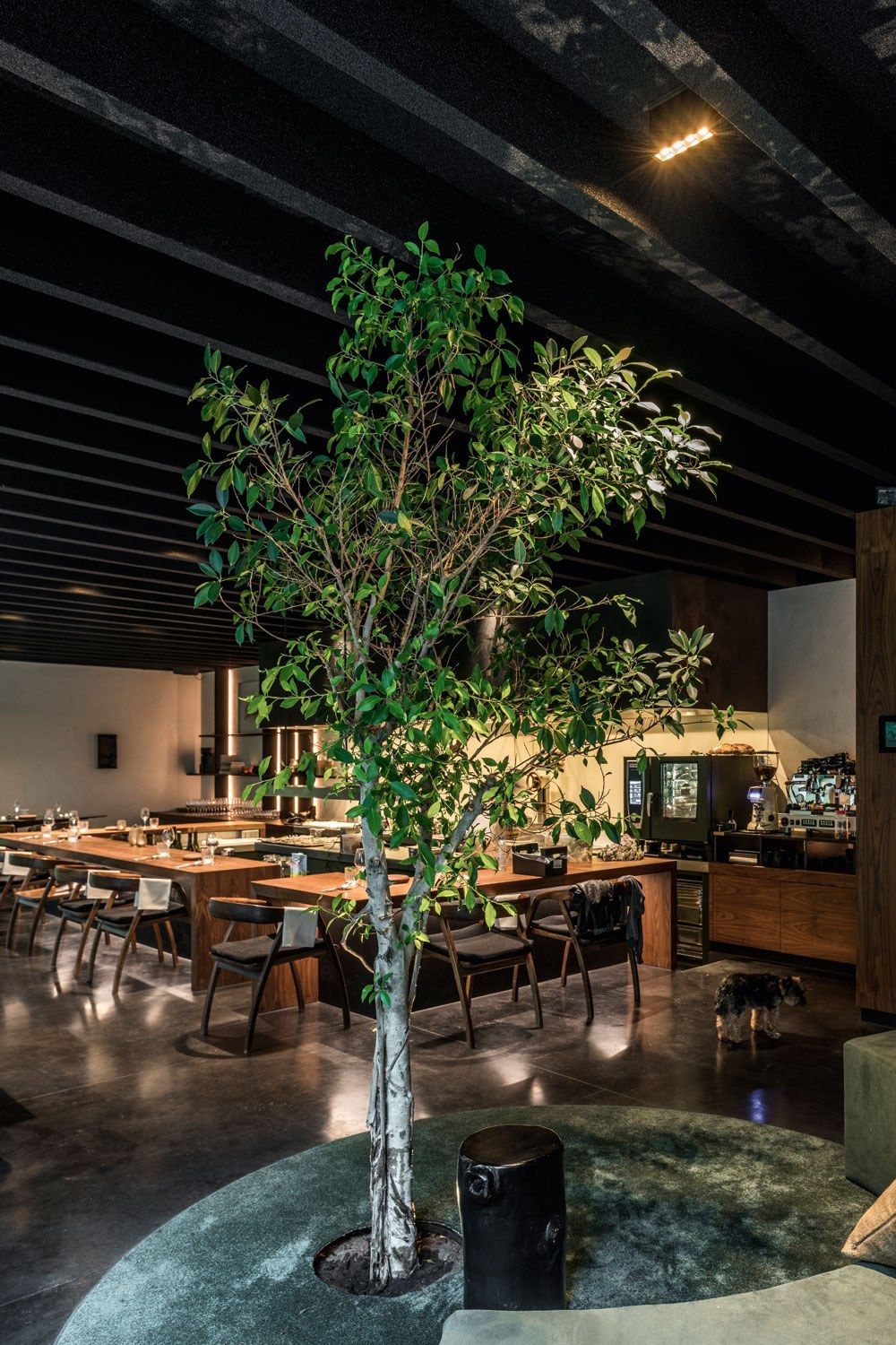 Светодиодный потолочный светильник с регулируемой яркостью Deltalight DOT.COM ARCH-00122932 - Вид №8