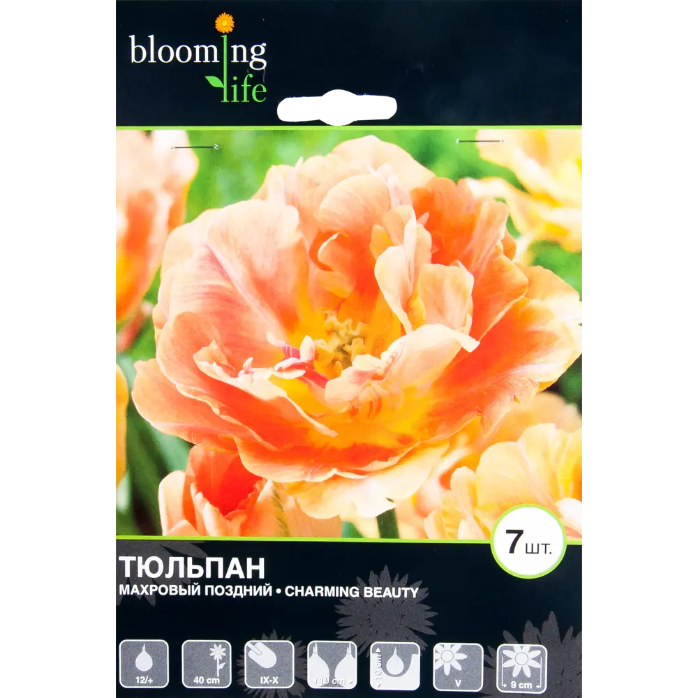 Тюльпан Чарминг Бьюти 12/+, 7 шт 17977432 STLM-2204208 Santreyd 