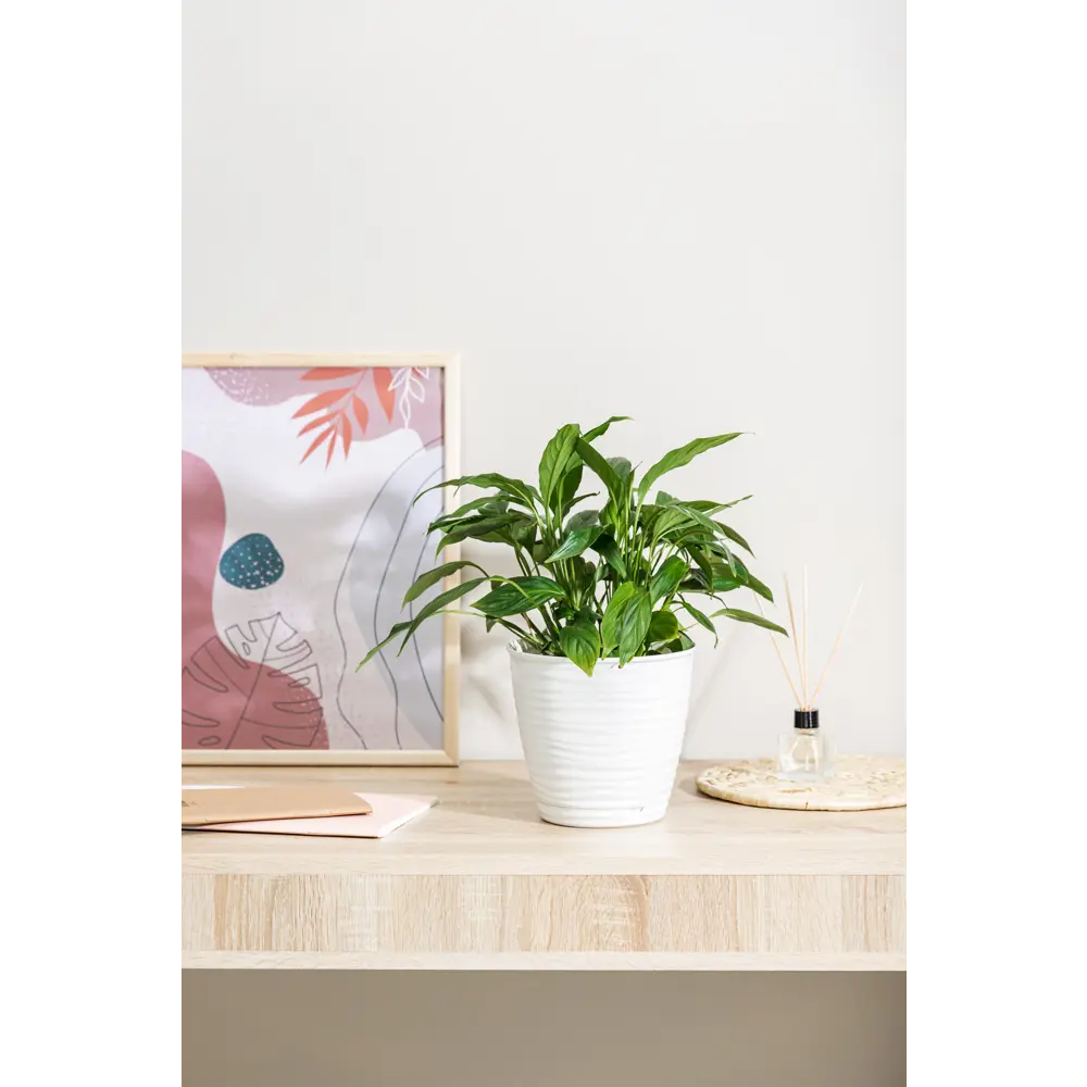 IDI LAND Горшок Saffron для комнатных растений белый 2.6 л 87179838 STLM-0073424 - Вид №5