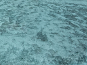 Ковер / Ковер