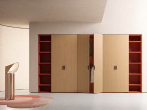 Шкаф с распашными дверцами