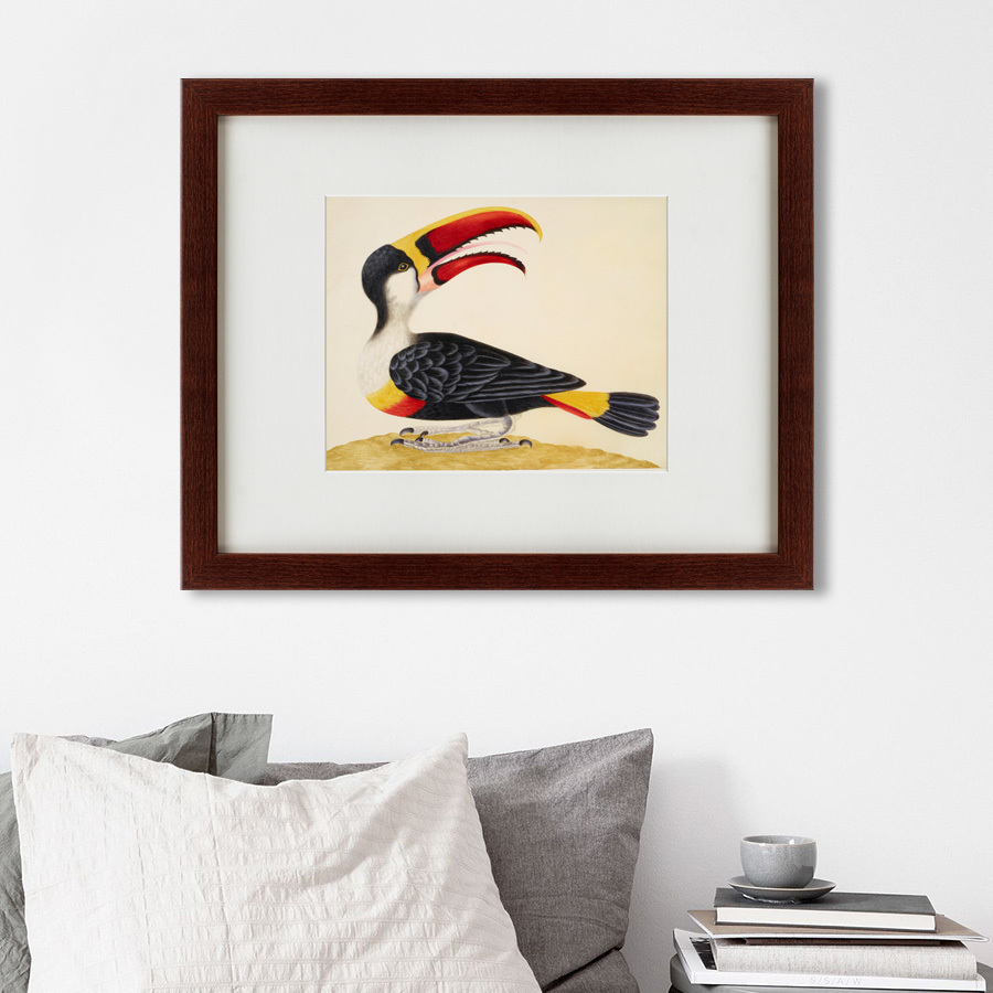 Картина: White-Throated Toucan, 1716 КАРТИНЫ В КВАРТИРУ  135727 Разноцветный  - Вид №2
