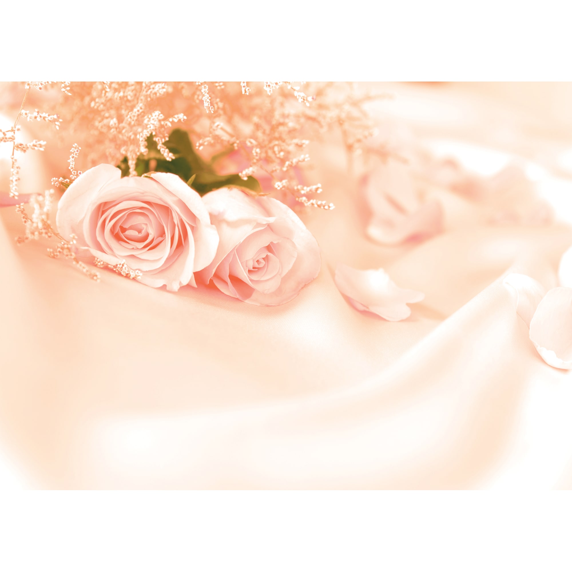 81956614 Фотообои «» 280х200 см Запах роз Santreyd 