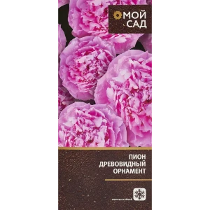 Пион древовидный Орнамент в тубе Цветочный альянс 83761603 STLM-2013573