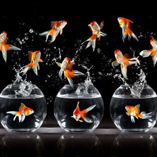 WP01767 Фотообои Verol Фотообои decoline 1х1 м