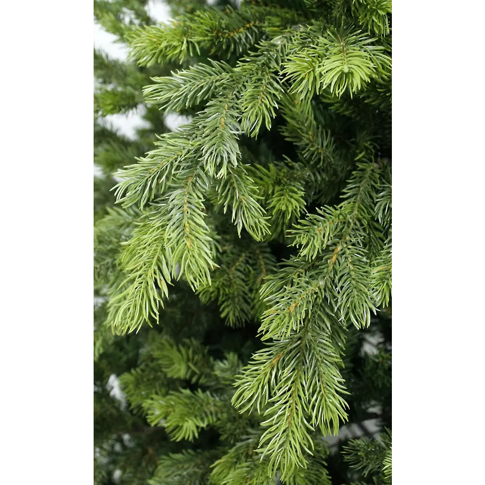 Ель новогодняя искусственная Emerald 240 см 89394114 STLM-2091381 BEATREES  - Вид №1