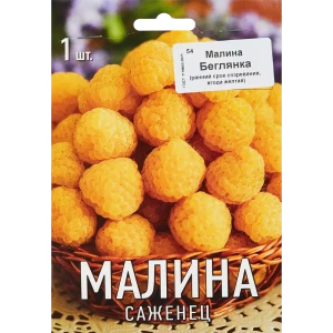 Малина Беглянка ø9 h39 см 83738728 STLM-2179109
