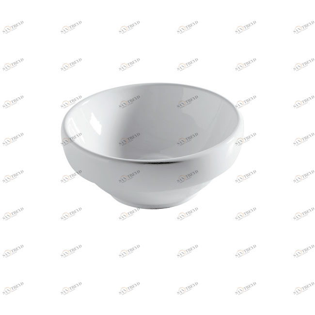 7117 Накладная раковина на столешницу  овальная Galassia Ergo