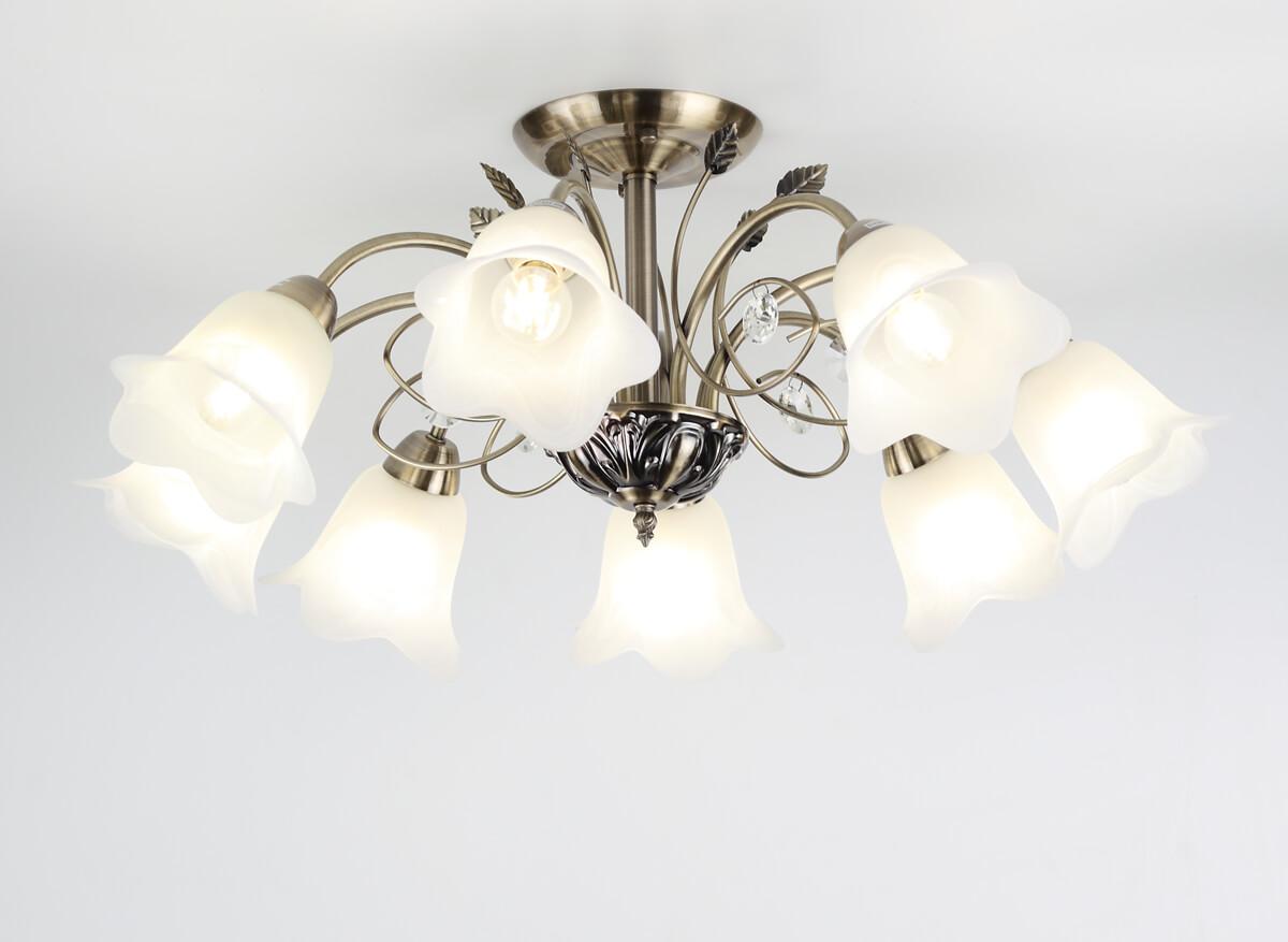 Потолочная люстра Rivoli Giardino 2031-308 RIVOLI GIARDINO 336913 Белый;бронза - Вид №1