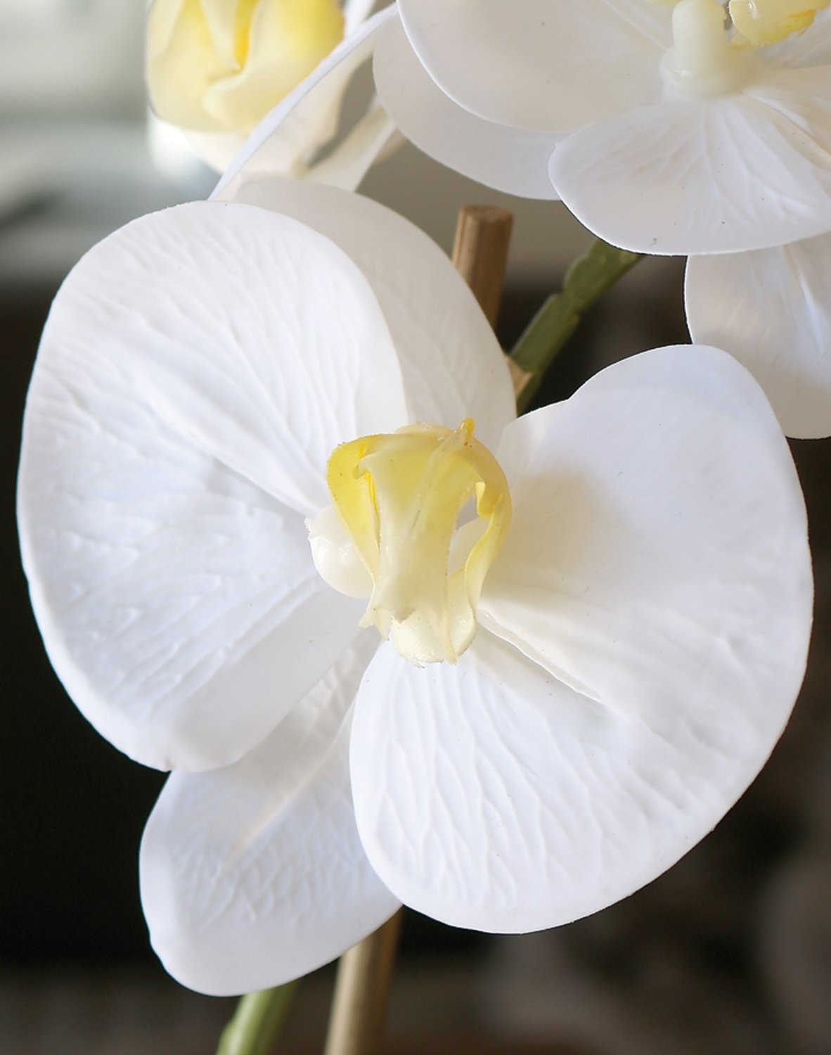 2596 778 a3 Пластиковая орхидея Phalaenopsis, горшечная, 43 см, real touch soft, бежево-белая H-andreas  - Вид №2