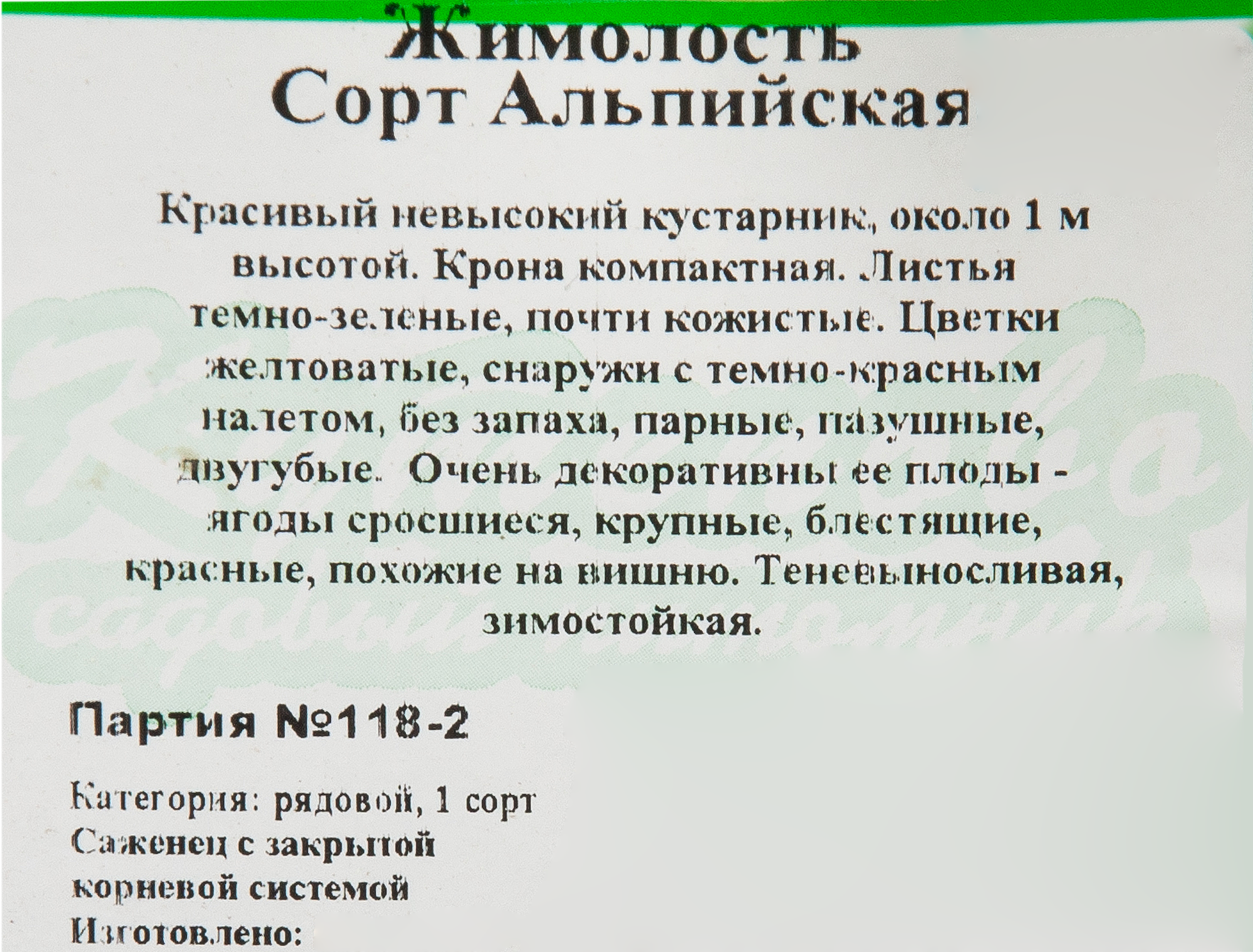 Жимолость декоративная Santreyd с ягодами-вишнями 82595159 STLM-0030948 - Вид №1