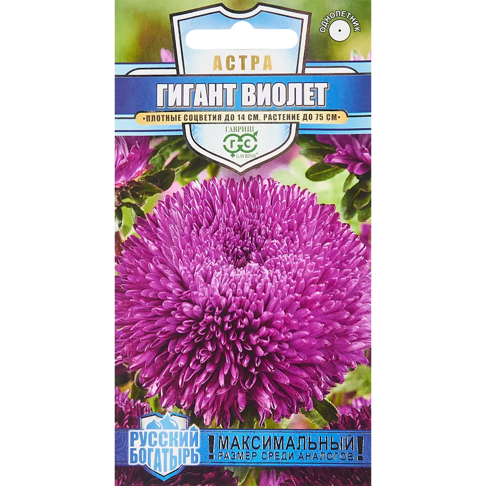 ГАВРИШ Астра Гигант Виолет - фиолетовые махровые соцветия для сада 86395721 STLM-1584748