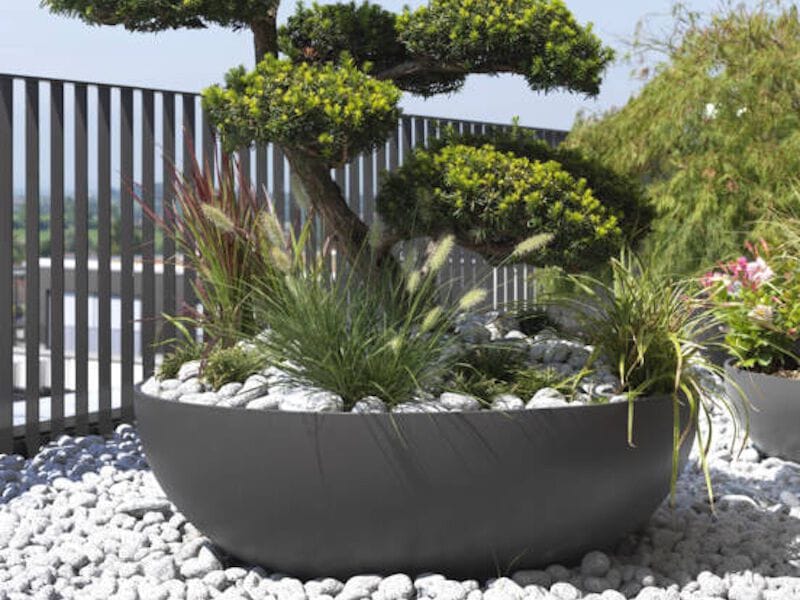Бетонный низкий садовый горшок SWISSPEARL Softline ARCH-00119993