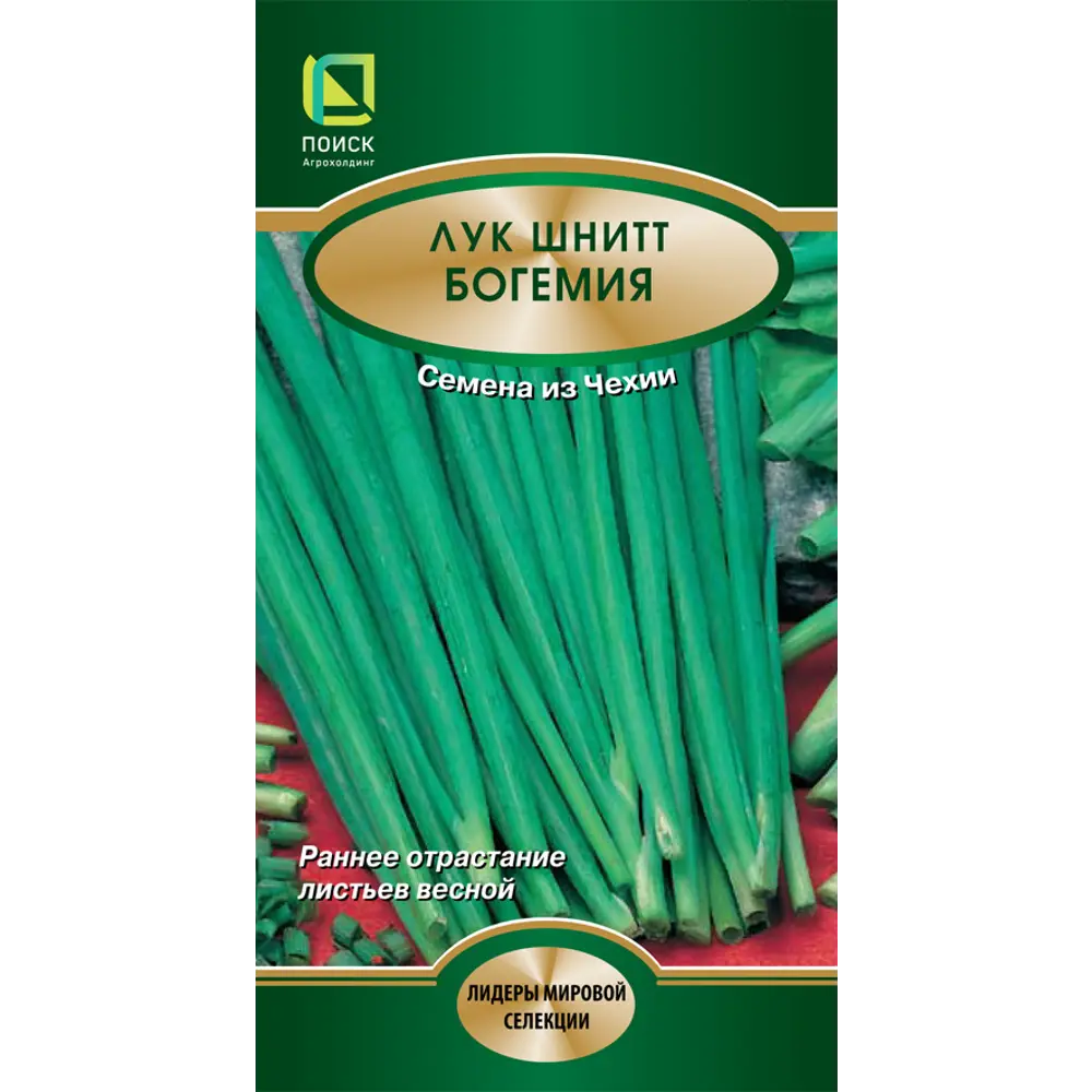 Семена лука шнитт Богемия для выращивания свежей зелени 89401248 ПОИСК STLM-1564996