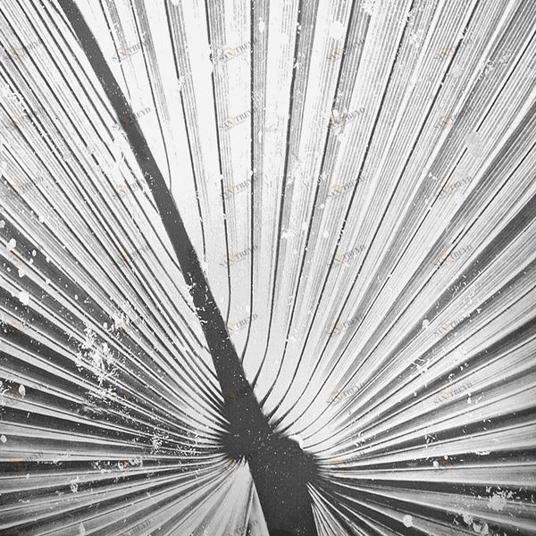 Арт-панель на холсте Alex Turco Organic White Palm WHITEPALM