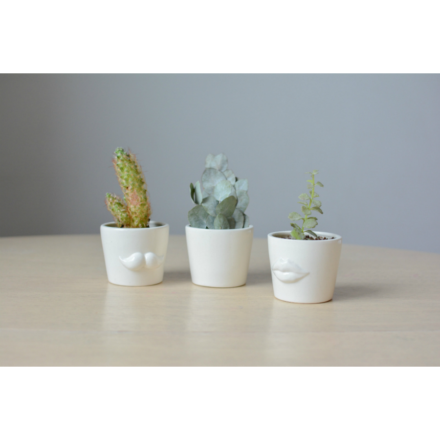 MIN-1-02 Набор для выращивания eco мини-кашпо «усы» Экочеловеки  - Вид №4