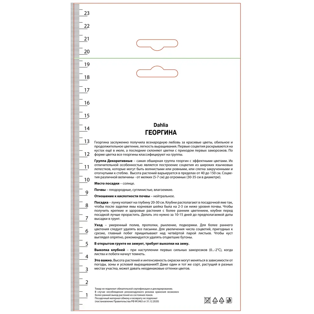 Георгина декоративная Рип Сити ПОИСК STLM-2096329 - Вид №1