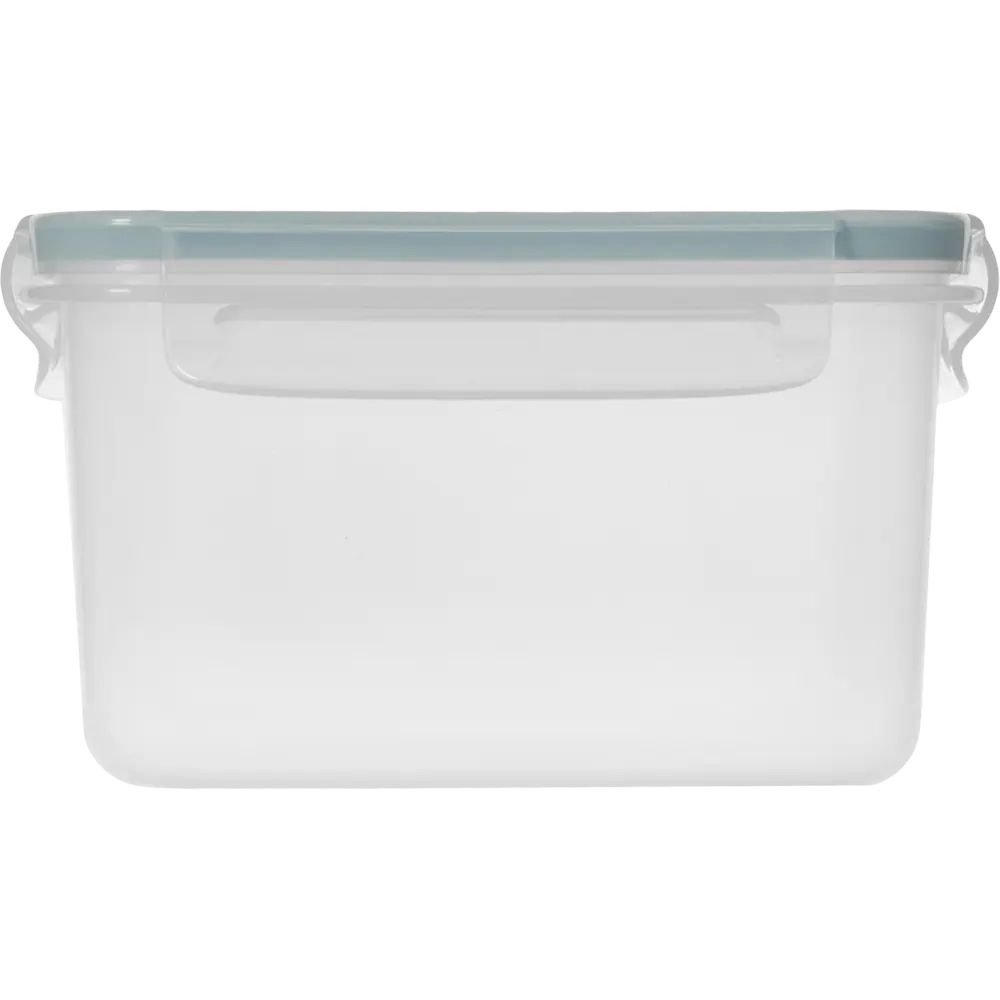 Контейнер DELINIA 2400 мл для хранения продуктов с герметичной крышкой 86138841 STLM-0066390 - Вид №4