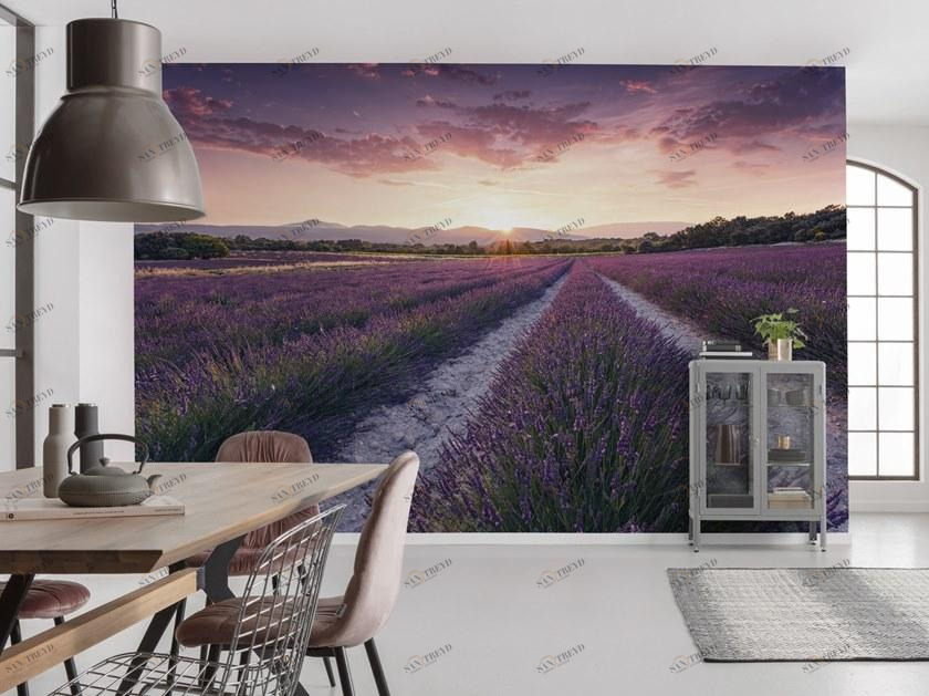 Komar Флизелиновые обои с пейзажами Wanderlust Shx9-052