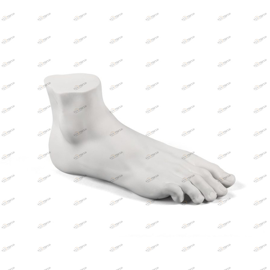 Статуэтка декоративная фарфоровая 20х37 см белая Memorabilia Mvsevm Male Foot SELETTI  00-3883229 Белый 
