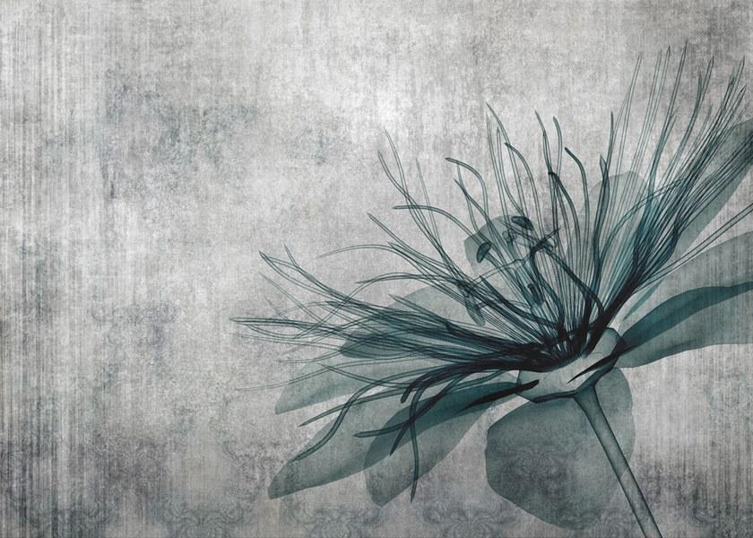 Affreschi & Affreschi Рулонные экологические гипсовые обои Aloha sun-id-1354884 - Вид №1