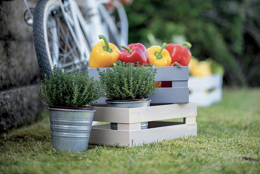 Ящик для хранения пластиковый 15 см серый Tidy&Store GUZZINI  00-3871171 Серый  - Вид №2