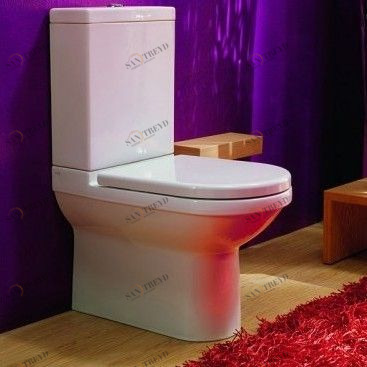 42228 Компакт унитаз с бачком Белый  Due Италия Santreyd