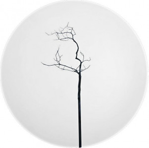 62357 Dibbern Тарелка закусочная Dibbern "Чёрный лес" 21см Фарфор костяной