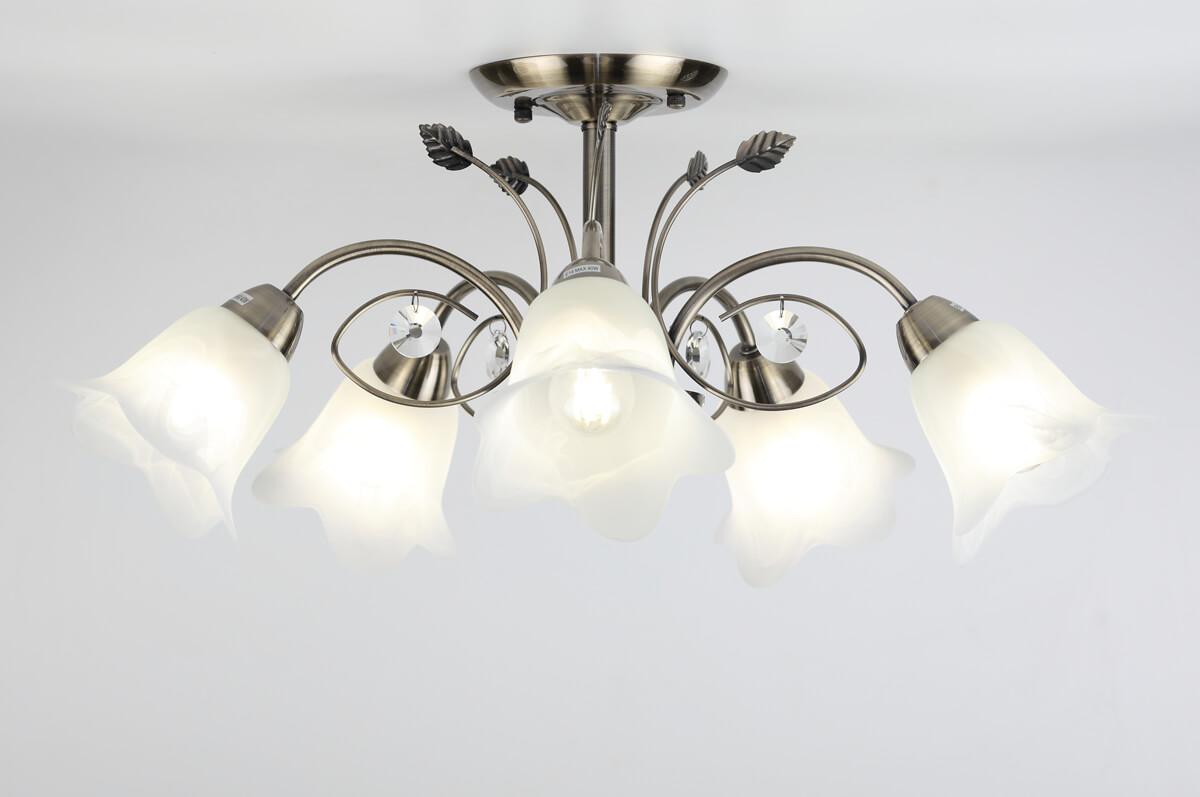 Потолочная люстра Rivoli Giardino 2031-305 RIVOLI GIARDINO 336912 Белый;бронза - Вид №1