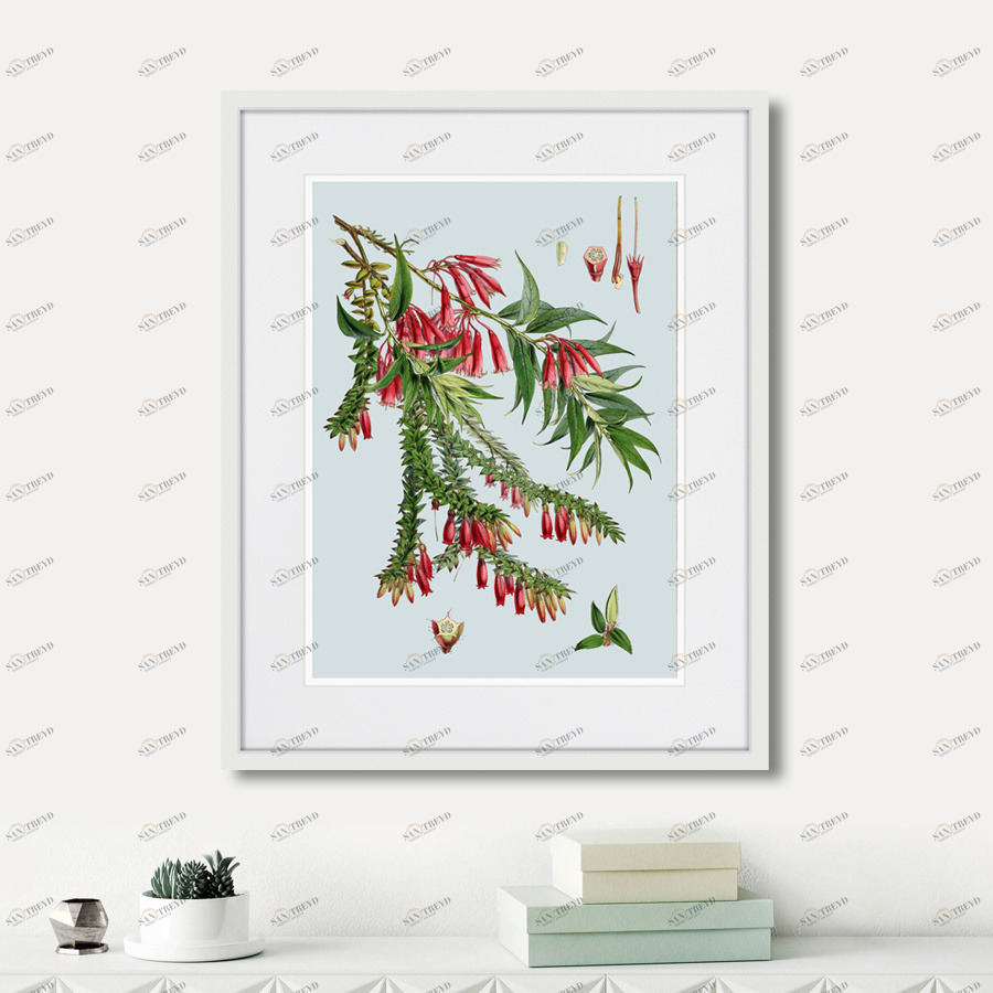 Картина в раме 52х42 см Himalaya Plants Red Flower Branch, 1869г. КАРТИНЫ В КВАРТИРУ  264421 Зеленый;розовый;разноцветный 
