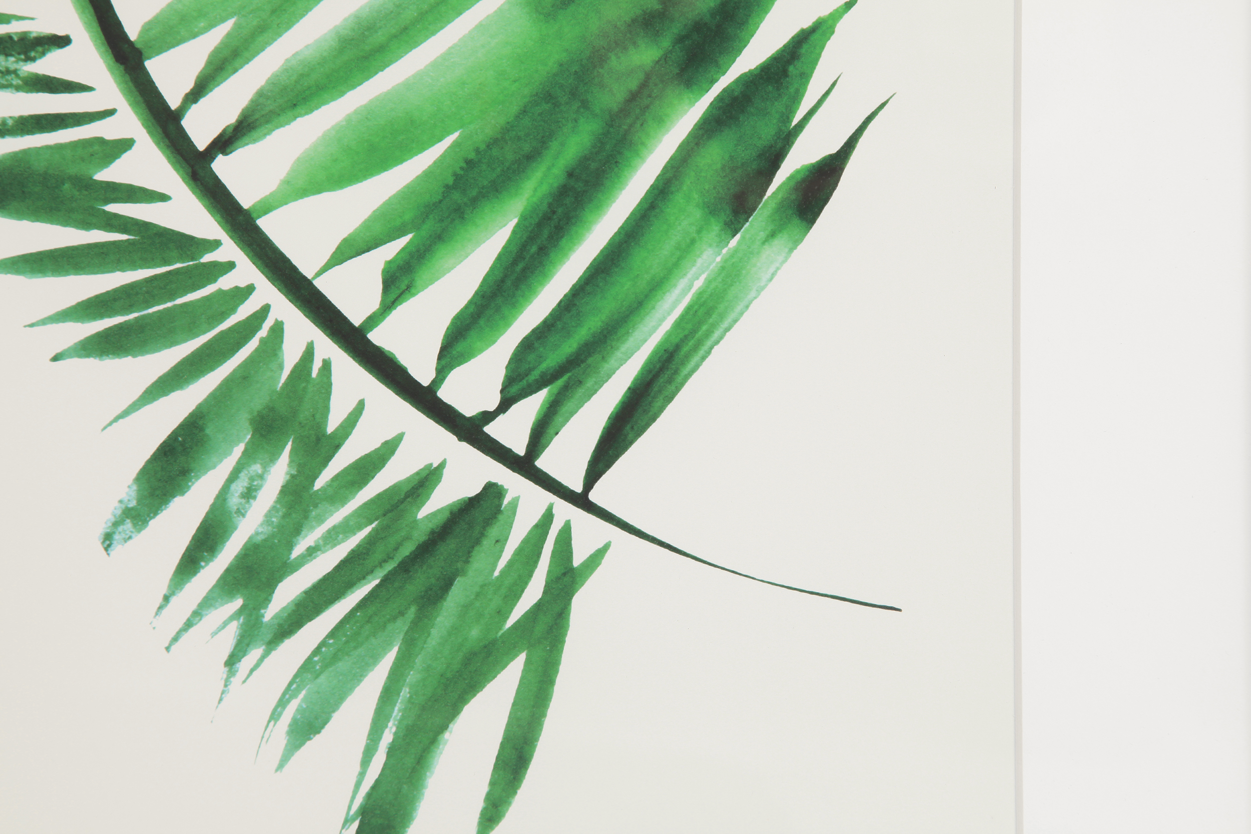 2000983161512 Постер Palm 1 COSMO RED  - Вид №1