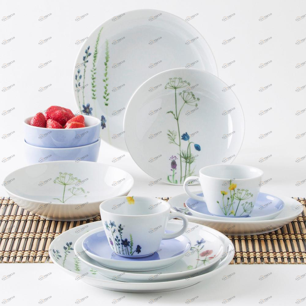 39F217A50001C MG Дизайн 2go набор для 2-х человек 12-штучных пять чувств диких цветов синий / красный Kahla-porzellan 