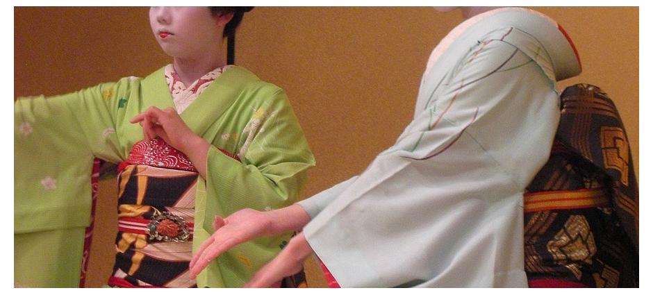 002417 Ковер Geisha Veo Veo Japan Santreyd