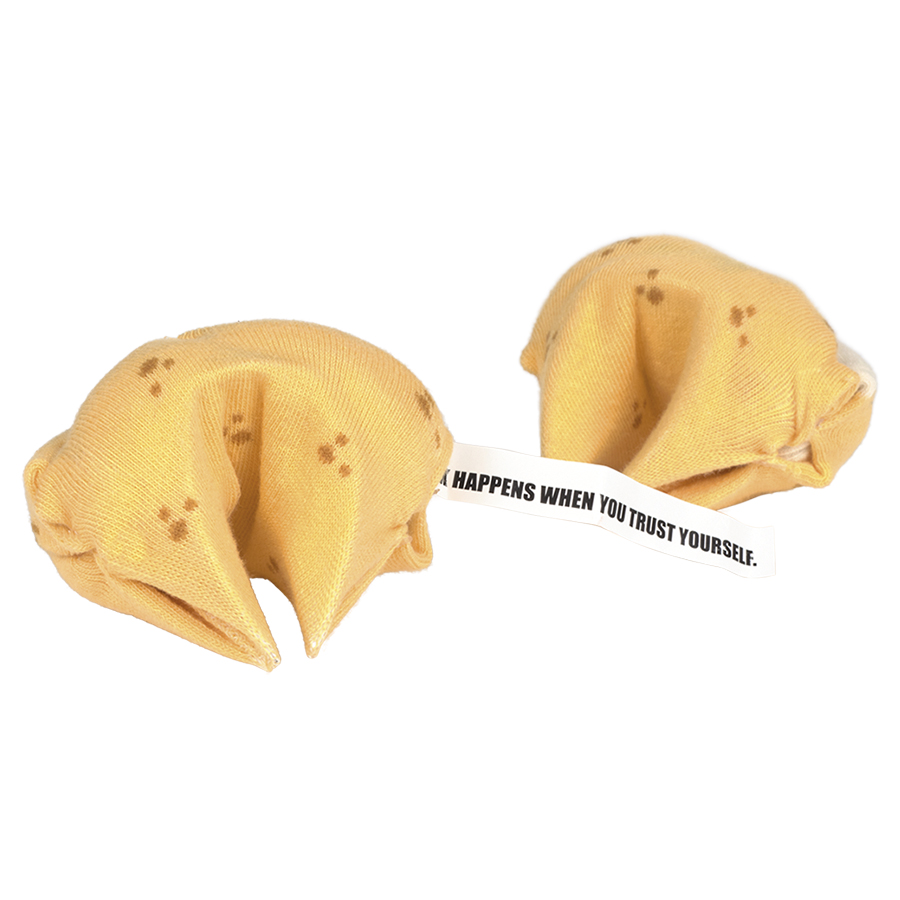 DYSOCKSFOR Носки , fortune cookie Doiy 