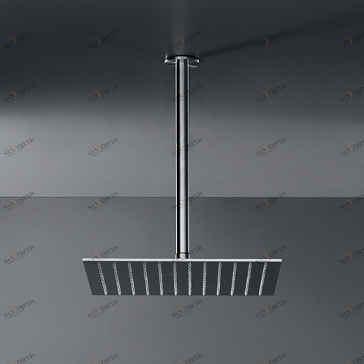 Площадь регулируемые душевая насадка Л. 300 мм, с прозрачными силиконовыми форсунками и регулятором давления  FRE32 CEADESIGN 