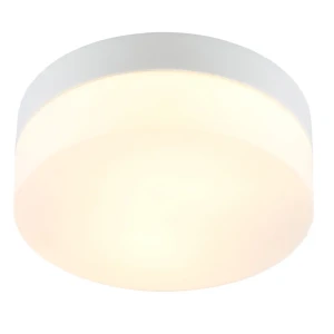 Светильник для ванной Arte Lamp «Aqua» E27 60 Вт IP44 цвет белый, накладной 86395564 STLM-2111159