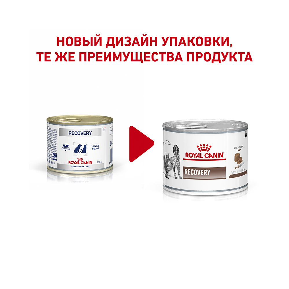 Т0031962 Корм для собак и кошек Vet Diet Recovery в период анорексии, выздоровления конс. 195г ROYAL CANIN  - Вид №1