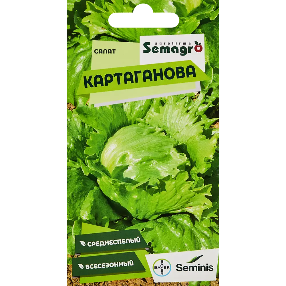 Семена салата Картаганова от Santreyd — сочные листья для свежих блюд 89347267 STLM-0953926