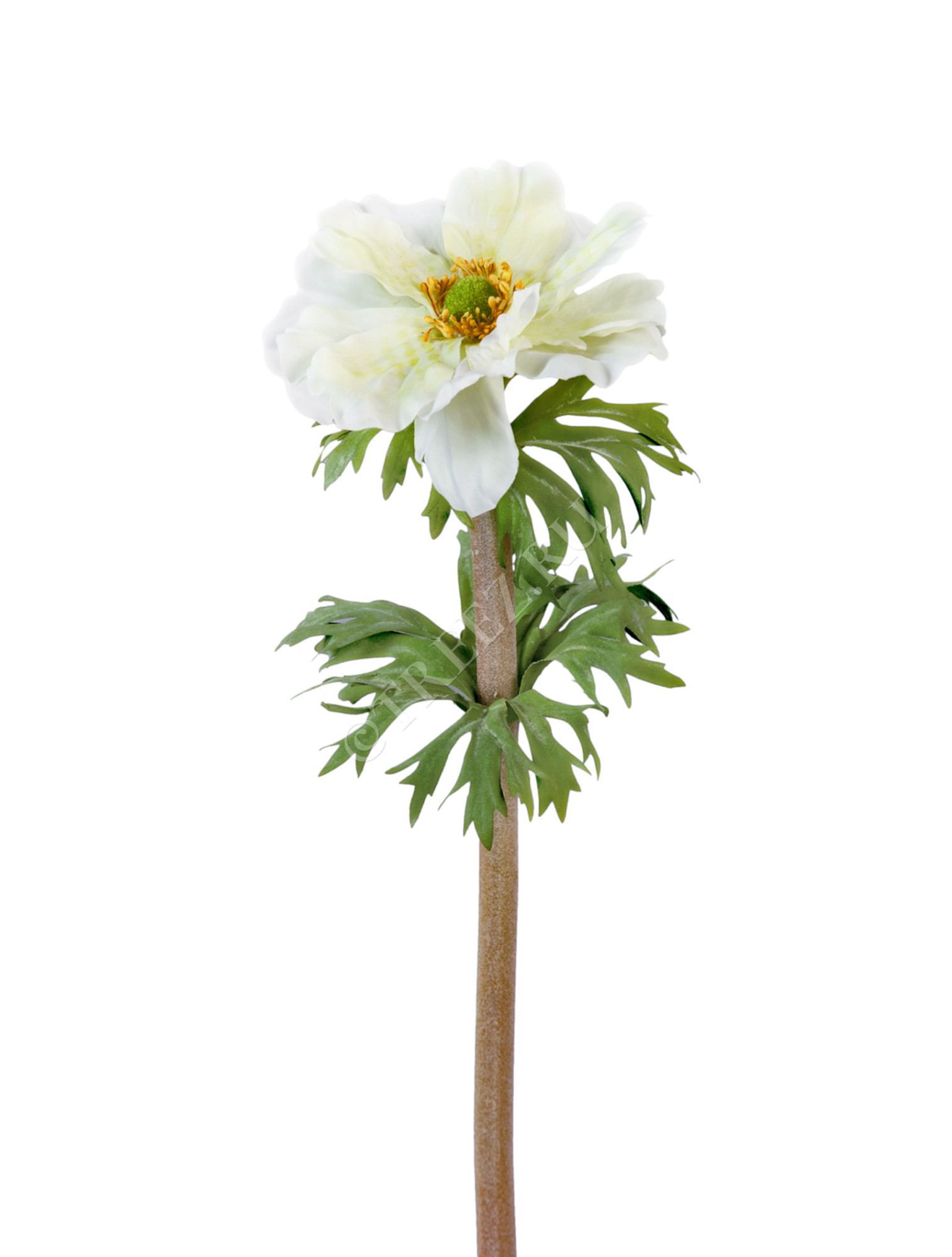 30.0610014WH Анемон белый д-10 см Цветочная коллекция 