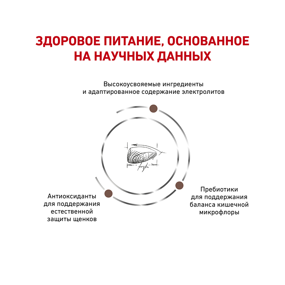 УТ0005728 Корм для щенков Vet Diet Gastro Intestinal Junior GIJ29 при наруш. пищеварения, птица сух. 2,5кг ROYAL CANIN  - Вид №3