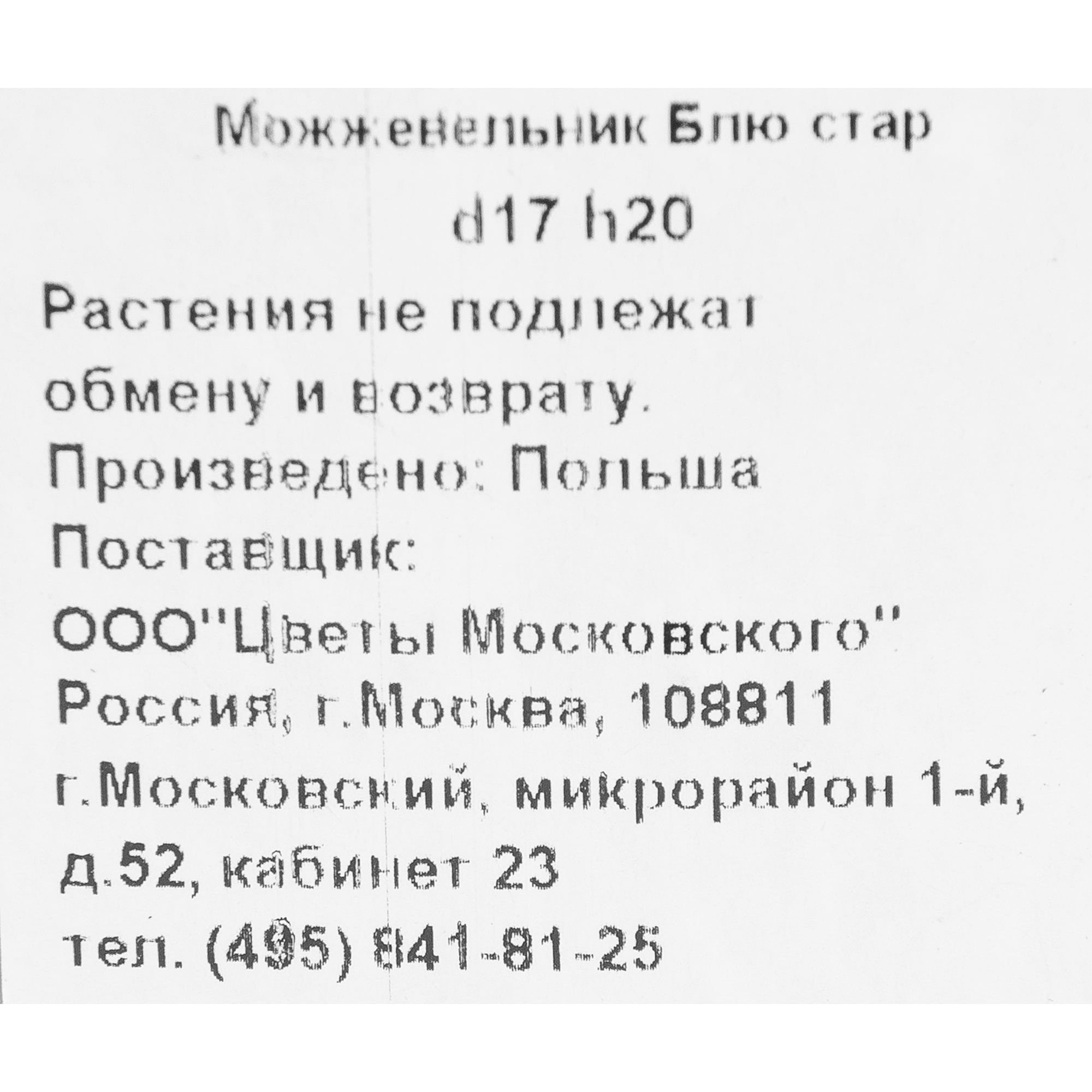 82621053 Можжевельник «Блю стар»13x15 см Santreyd  - Вид №1
