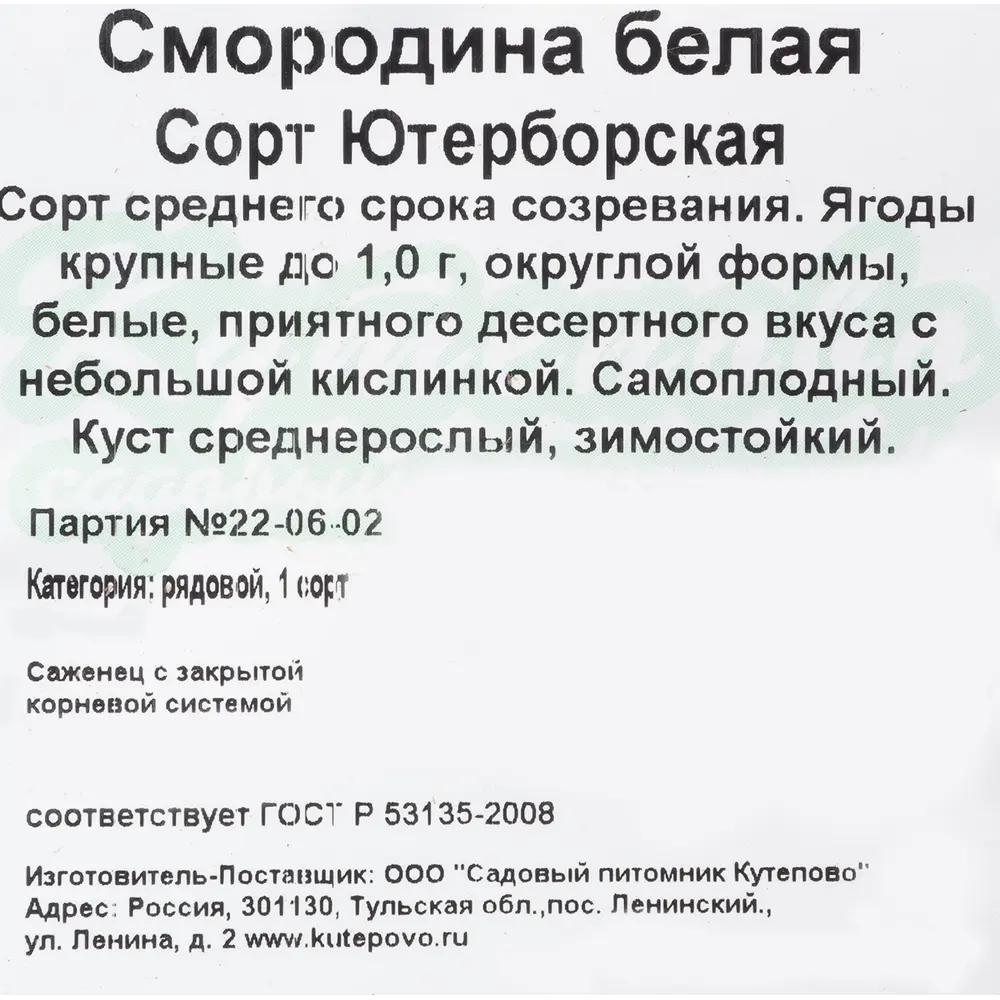 Смородина белая С2 «Ютерборгская» h40 81954943 STLM-2066562 Santreyd  - Вид №1
