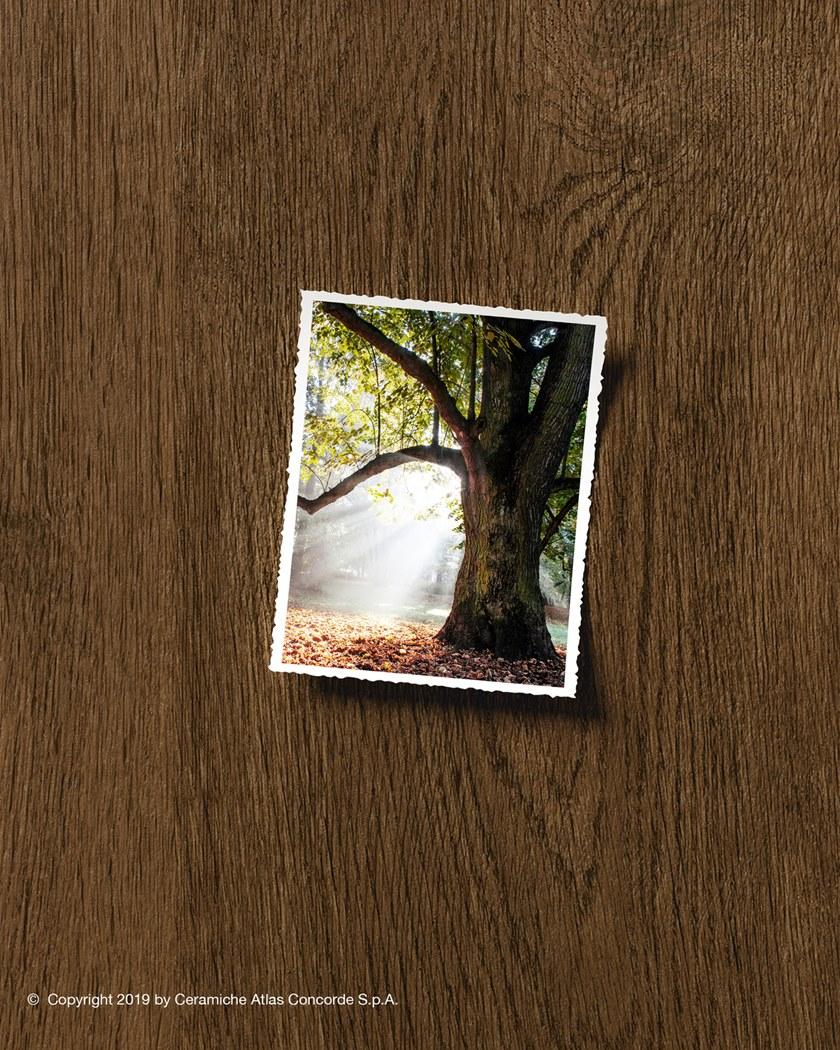 Atlas Concorde Пол из керамогранита под дерево Heartwood sun-id-1480807 - Вид №51