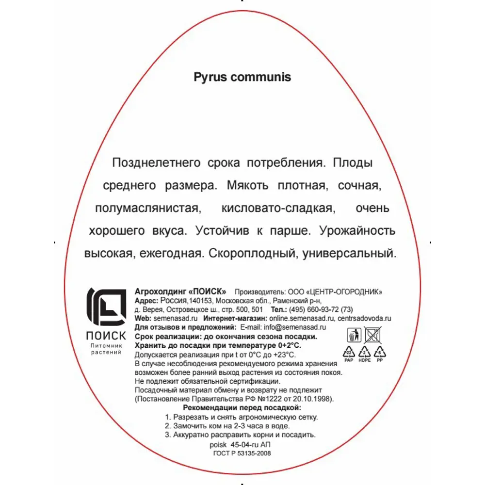 Груша Чижовская h220 см 83788009 STLM-2115381 Santreyd  - Вид №1