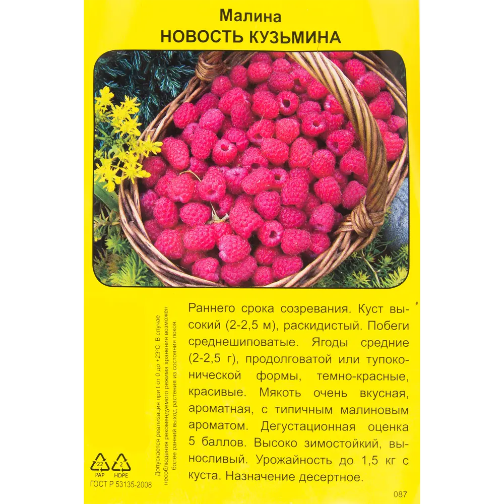 Малина Новость Кузьмина h40 см 83791453 STLM-2171104 Santreyd  - Вид №1