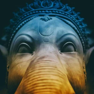 WP00004 Фотообои Verol Фотообои decoline 1х1 м