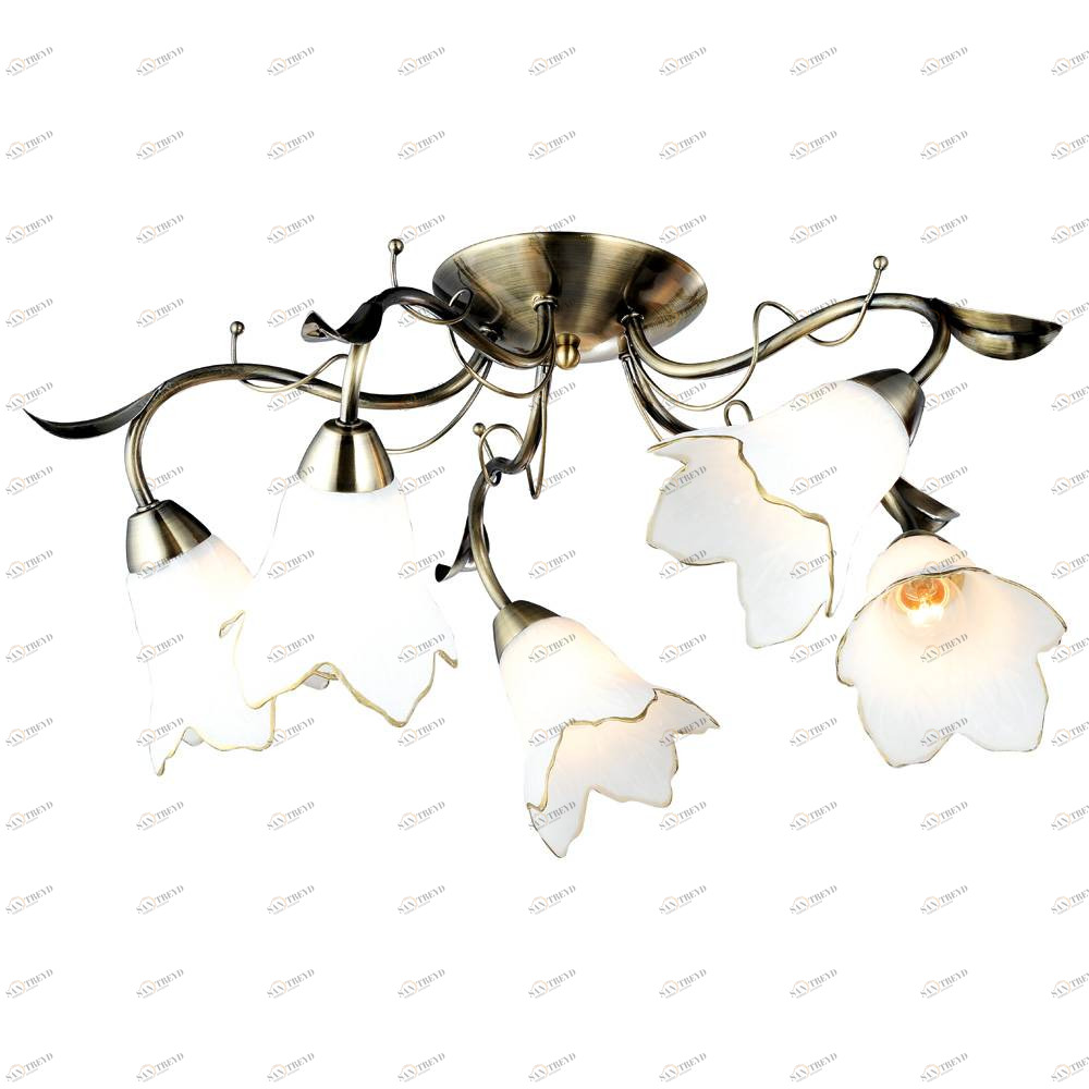 Потолочная люстра Arte Lamp Barbara A6066PL-5AB ARTE LAMP BARBARA 058297 Белый