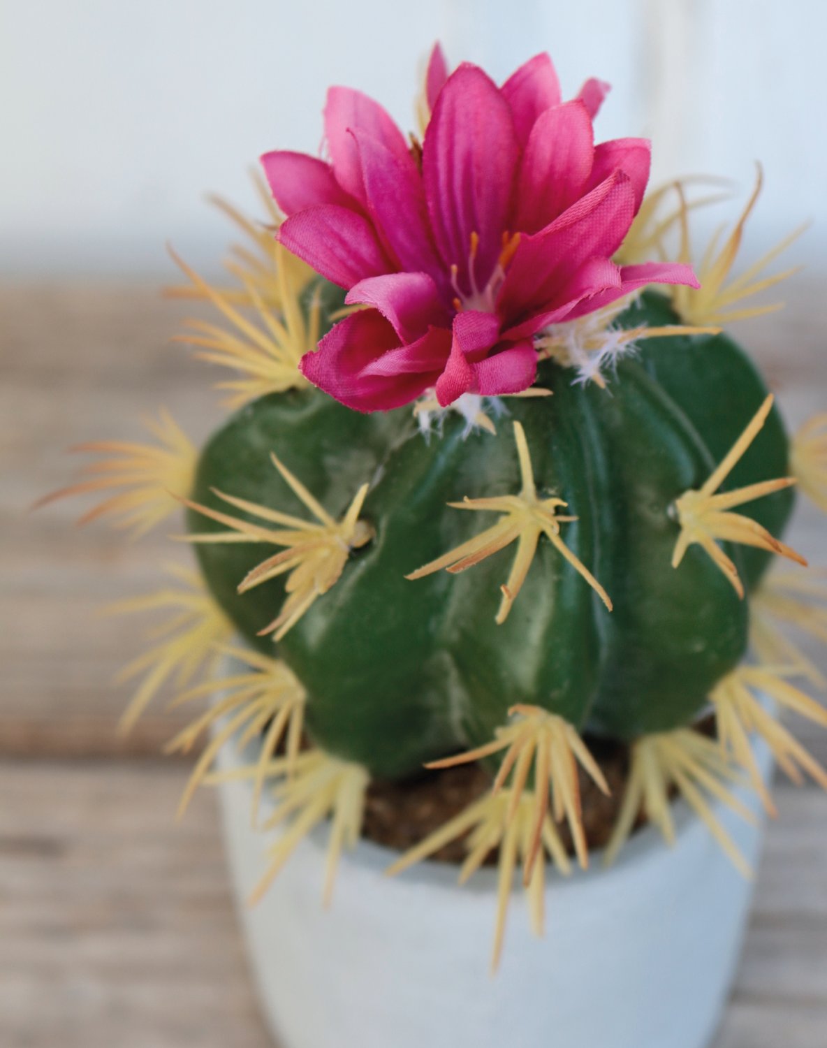 6068 883 a3 Пластиковые суккуленты-микс, в горшках, 3 шт., 10/14/17 см, зеленые H-andreas  - Вид №6